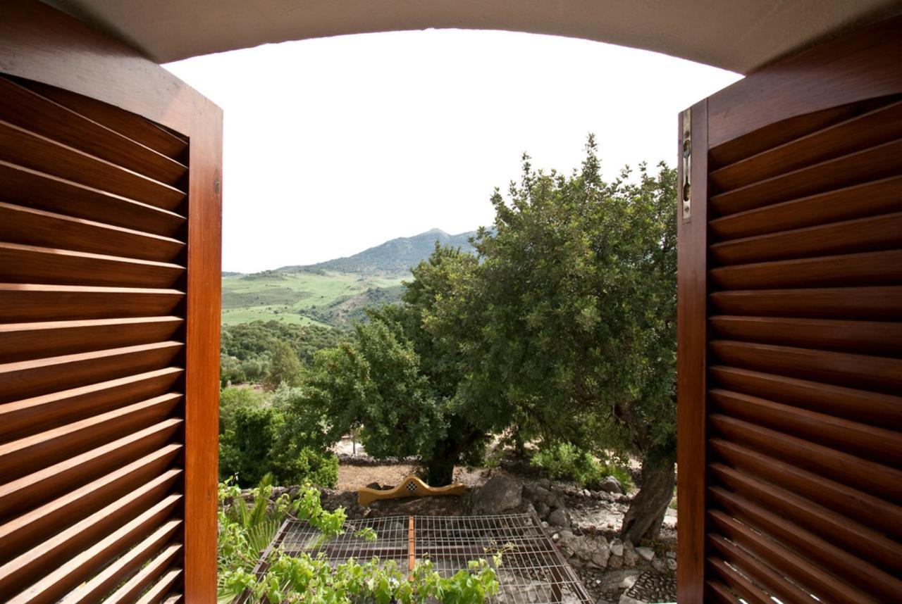 Casas Rurales Los Algarrobales El Gastor Exterior photo
