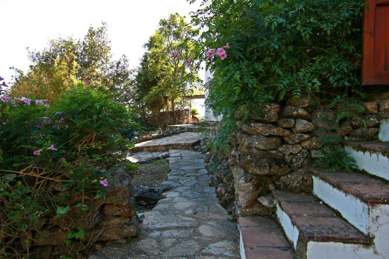 Casas Rurales Los Algarrobales El Gastor Exterior photo