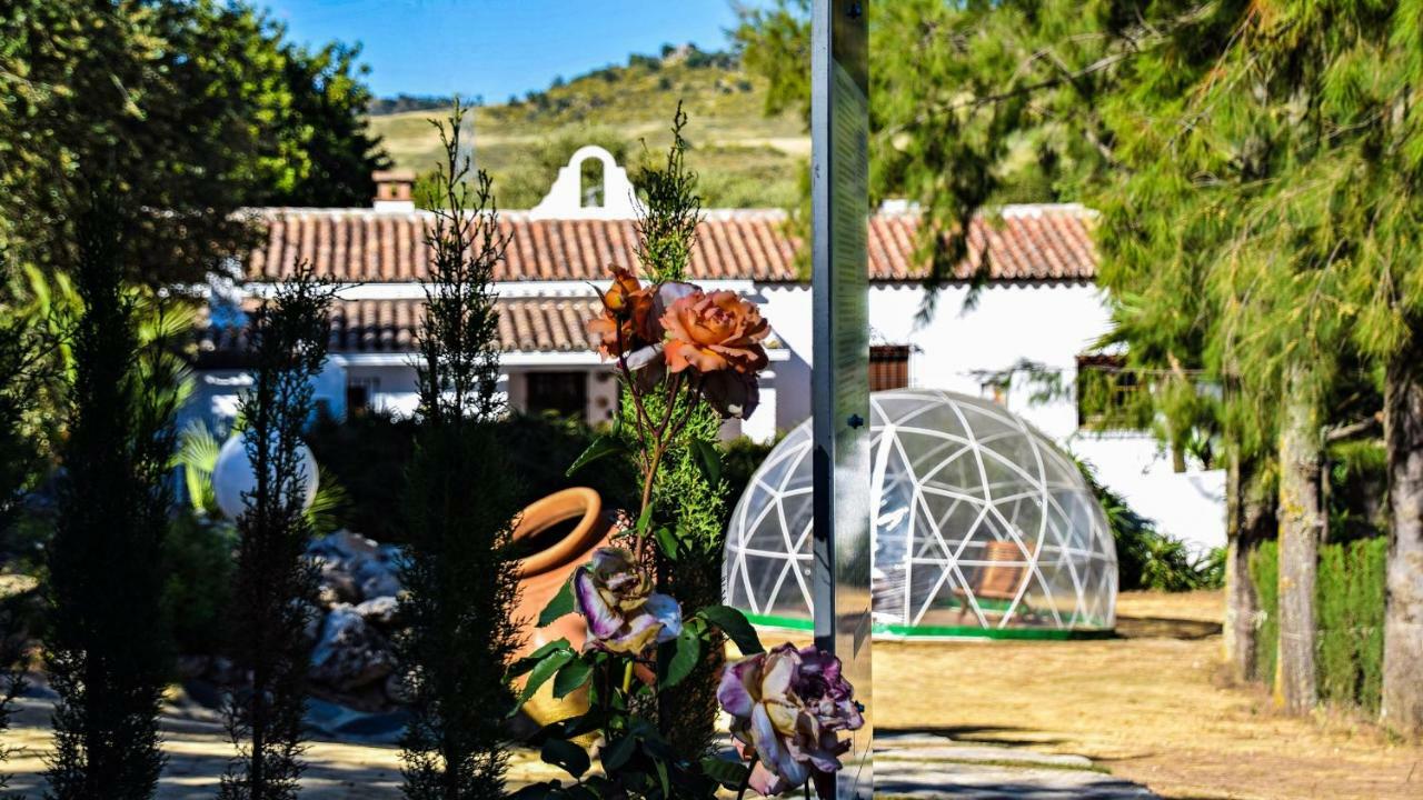 Casas Rurales Los Algarrobales El Gastor Exterior photo
