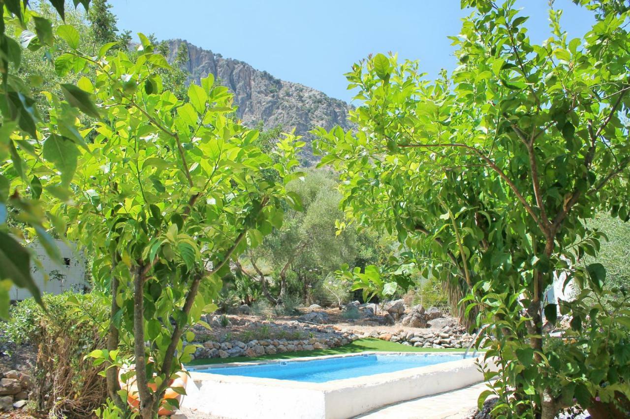 Casas Rurales Los Algarrobales El Gastor Exterior photo