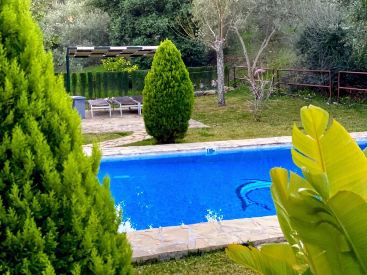 Casas Rurales Los Algarrobales El Gastor Exterior photo